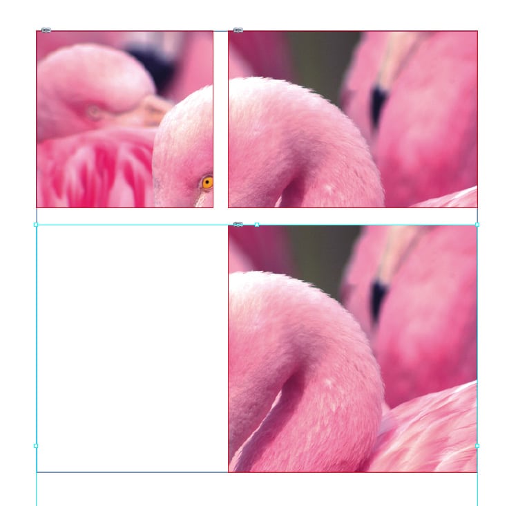 collage effect multiple frames single image indesign effect