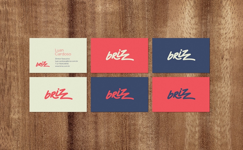 indesign inspiration flat design brand identity brizz