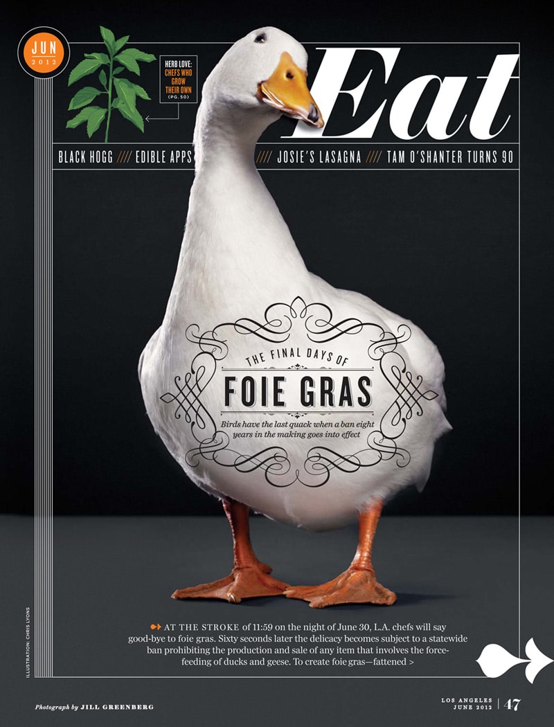 magazine cover design inspiration indesign eat typography