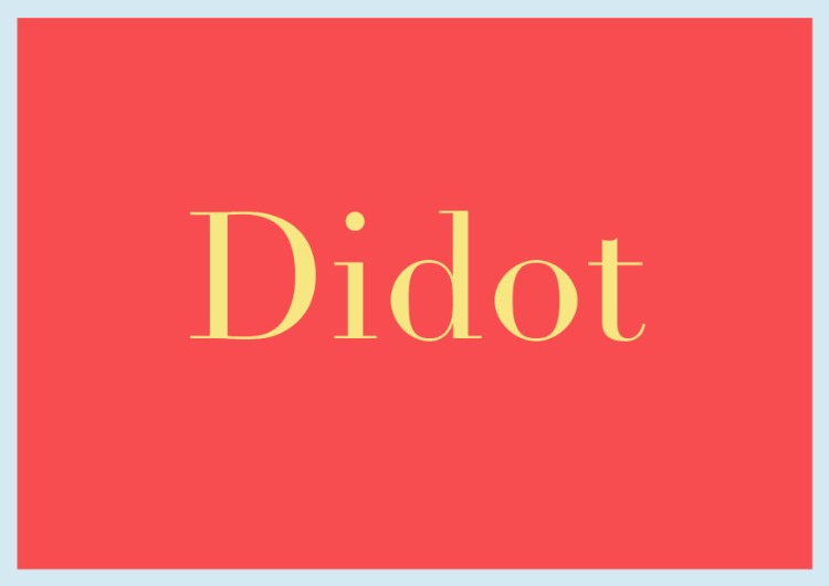 essential fonts designers need capsule beginners sans serifs didot