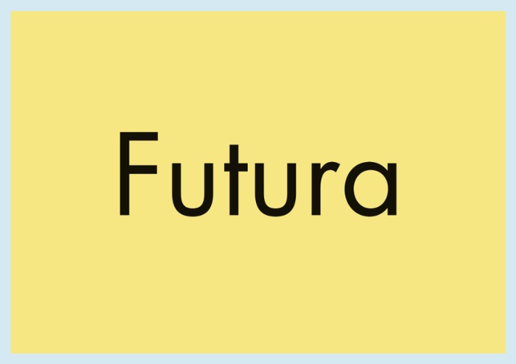 essential fonts designers need capsule beginners sans serifs futura