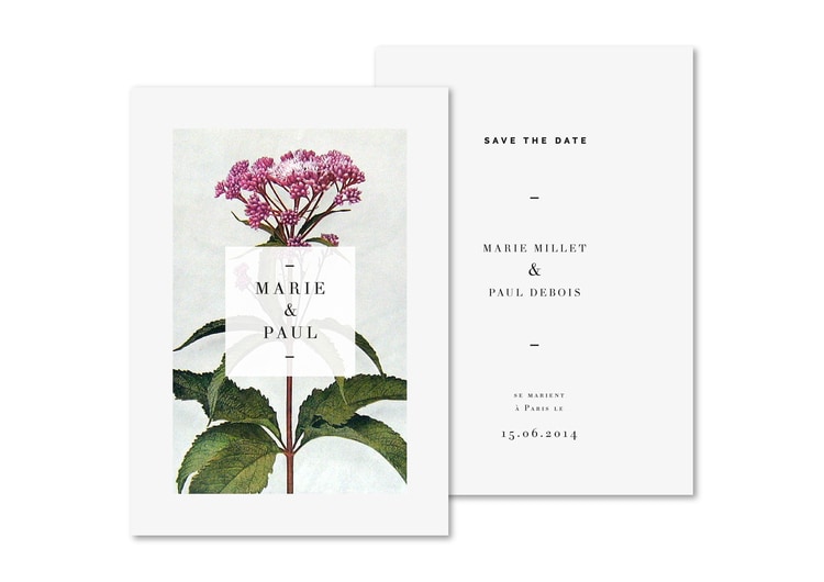 botanical graphic design flowers branding inspiration wedding invites invitations save the date antique vintage