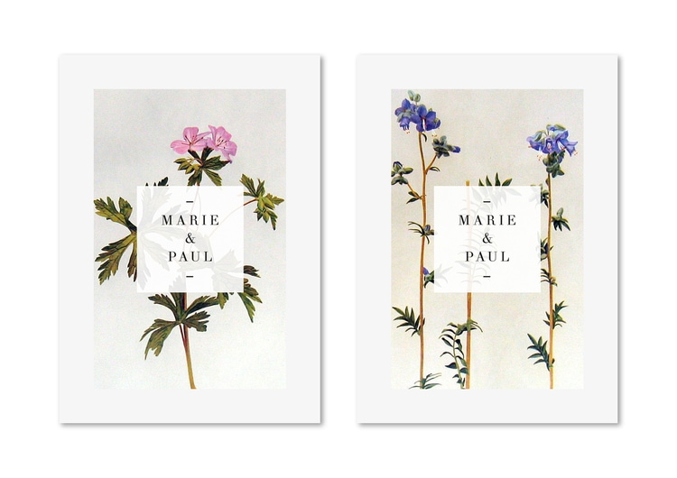 botanical graphic design flowers branding inspiration wedding invites invitations save the date antique vintage