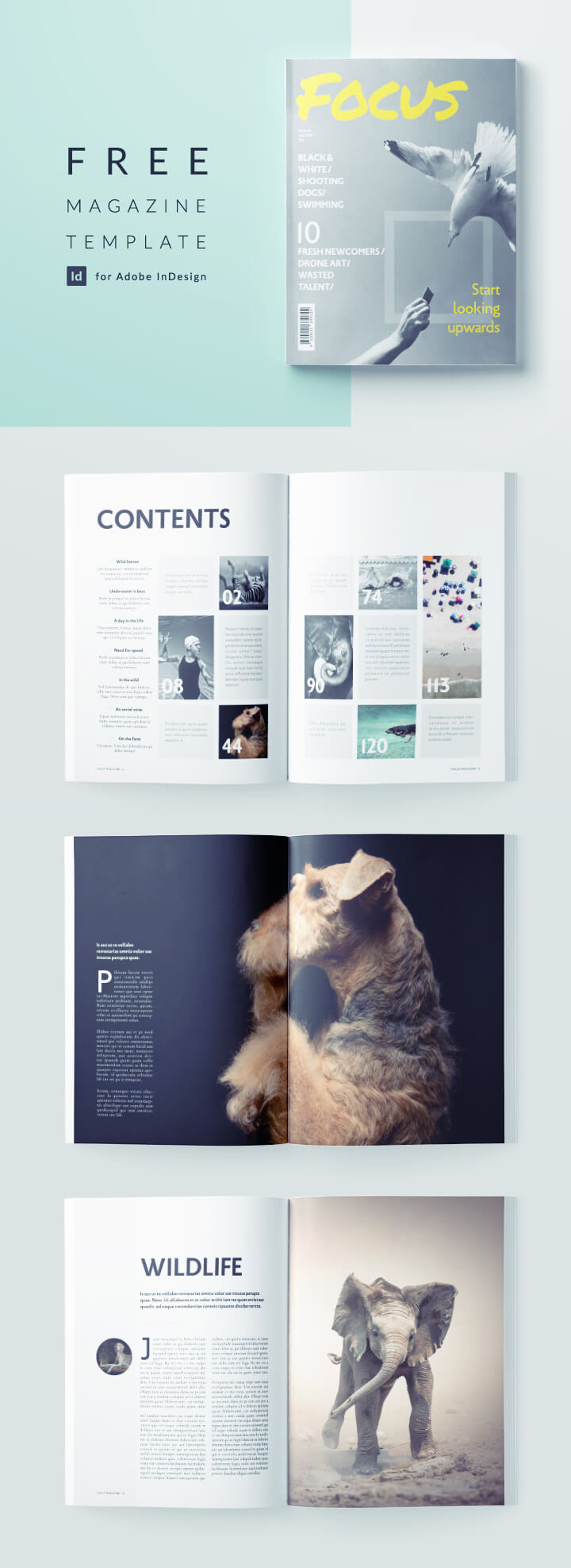 free indesign magazine template - download this professionally designed template for an indesign photography magazine