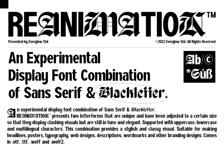 reanimation font best 2024 fonts font trends 2024 what are trendy fonts new fonts 2024 what is the best font 2024